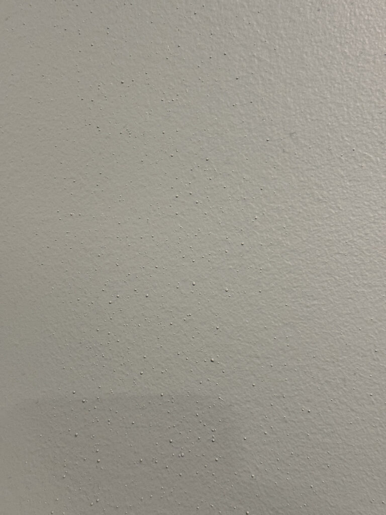 Roller lint on bathroom wall
